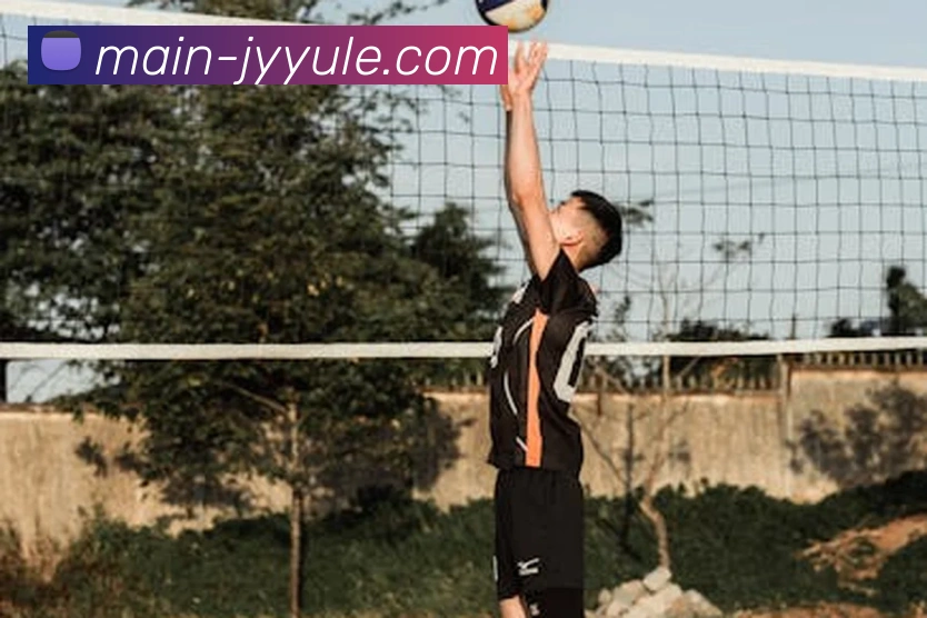 九游体育官方入口APP 封面图